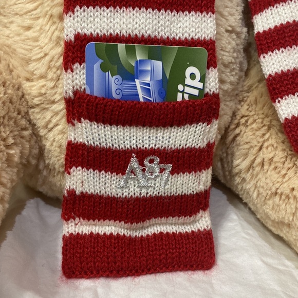 Kid’s Aéropostale Stuffed Teddy Bear with Scarf. One size. Gift card holder. - Picture 2 of 9